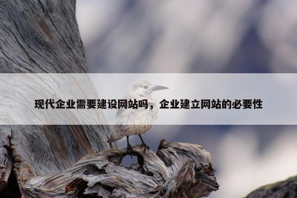 现代企业需要建设网站吗，企业建立网站的必要性
