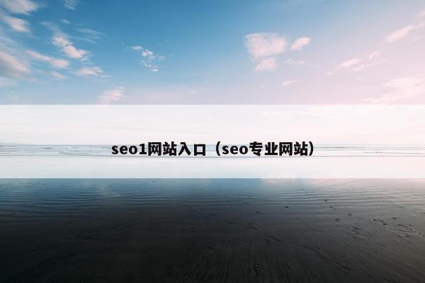 seo1网站入口（seo专业网站）