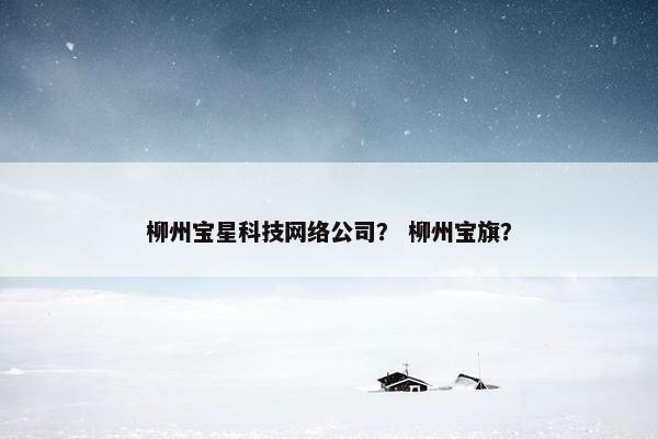 柳州宝星科技网络公司？ 柳州宝旗？