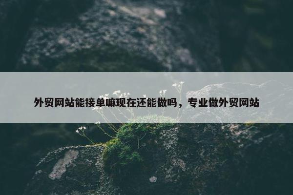 外贸网站能接单嘛现在还能做吗，专业做外贸网站