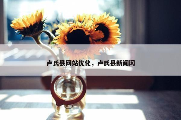 卢氏县网站优化，卢氏县新闻网