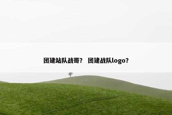 团建站队战哥？ 团建战队logo？