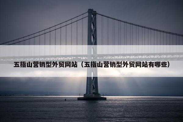 五指山营销型外贸网站（五指山营销型外贸网站有哪些）