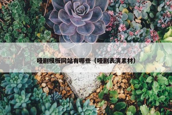 哑剧模板网站有哪些（哑剧表演素材）