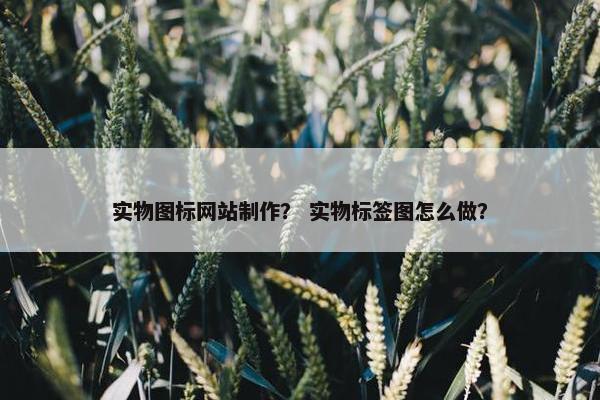 实物图标网站制作？ 实物标签图怎么做？