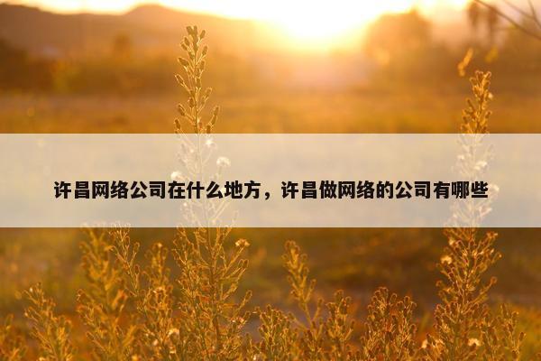 许昌网络公司在什么地方，许昌做网络的公司有哪些