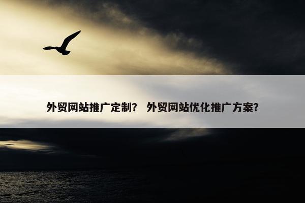 外贸网站推广定制？ 外贸网站优化推广方案？