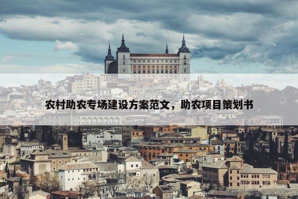 农村助农专场建设方案范文，助农项目策划书