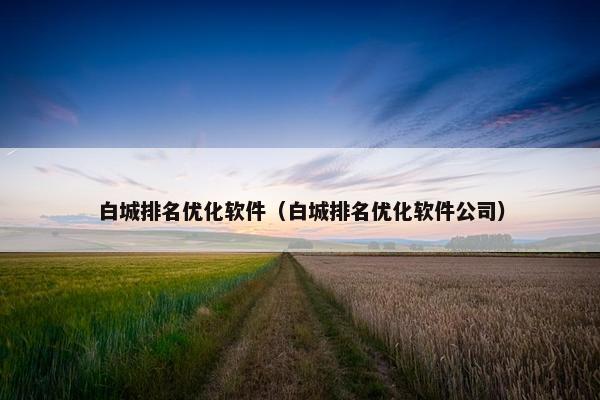 白城排名优化软件（白城排名优化软件公司）