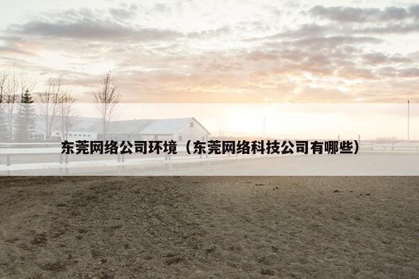 东莞网络公司环境（东莞网络科技公司有哪些）