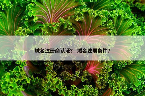 域名注册商认证？ 域名注册条件？