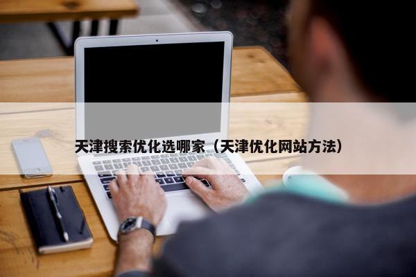 天津搜索优化选哪家（天津优化网站方法）