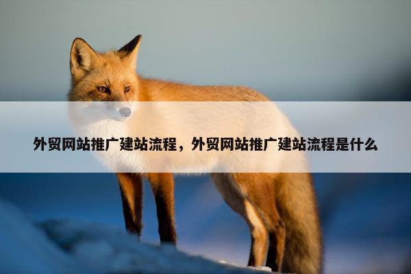 外贸网站推广建站流程，外贸网站推广建站流程是什么