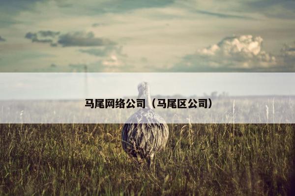 马尾网络公司（马尾区公司）