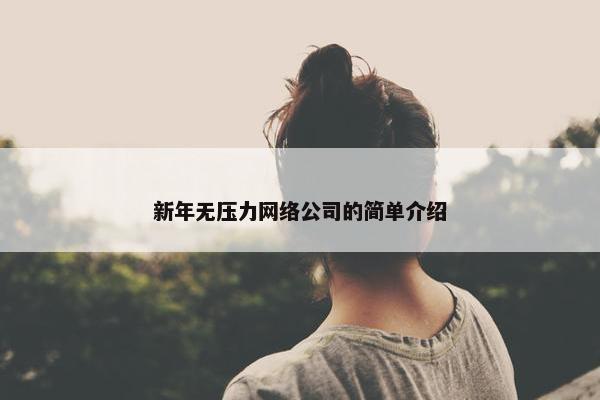 新年无压力网络公司的简单介绍