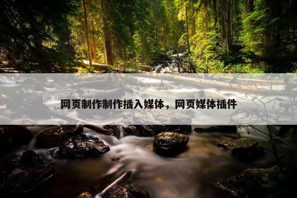 网页制作制作插入媒体，网页媒体插件