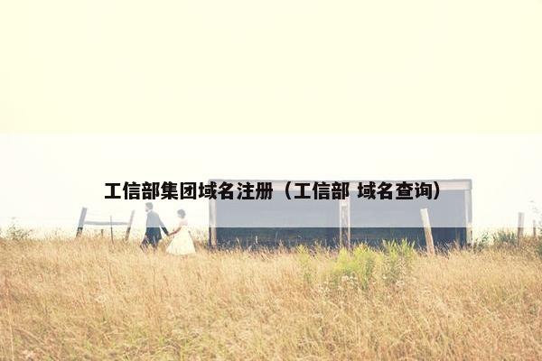 工信部集团域名注册（工信部 域名查询）
