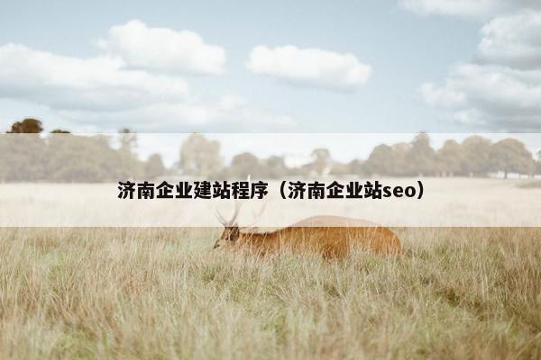 济南企业建站程序（济南企业站seo）