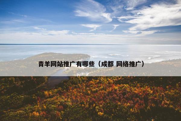 青羊网站推广有哪些（成都 网络推广）