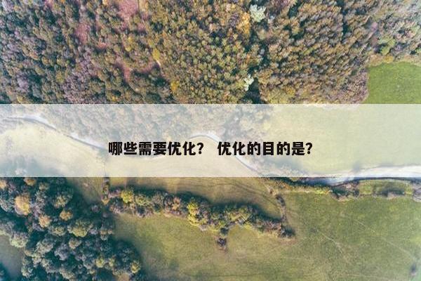 哪些需要优化？ 优化的目的是？