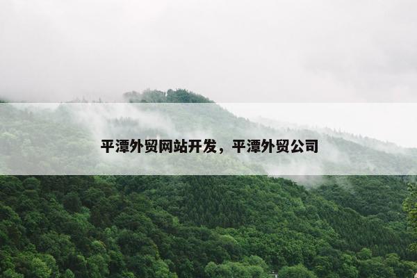 平潭外贸网站开发，平潭外贸公司