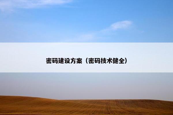 密码建设方案（密码技术健全）
