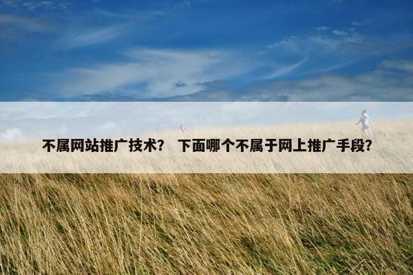 不属网站推广技术？ 下面哪个不属于网上推广手段？