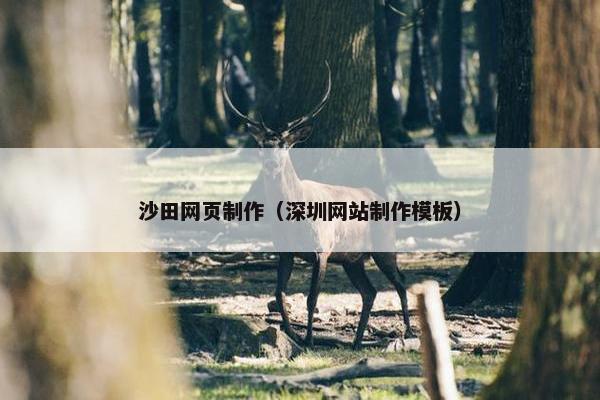 沙田网页制作（深圳网站制作模板）