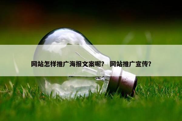 网站怎样推广海报文案呢？ 网站推广宣传？
