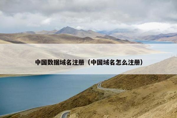 中国数据域名注册（中国域名怎么注册）