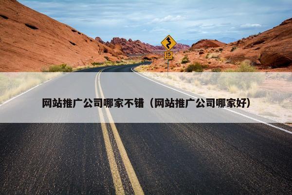 网站推广公司哪家不错（网站推广公司哪家好）