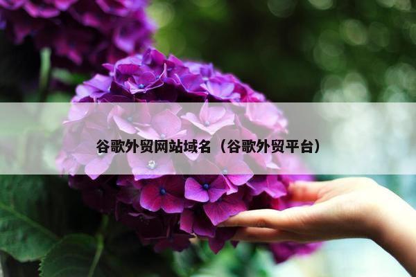 谷歌外贸网站域名（谷歌外贸平台）