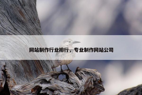 网站制作行业排行，专业制作网站公司