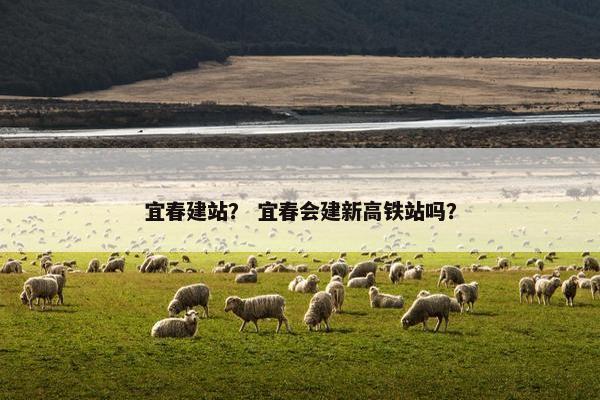 宜春建站？ 宜春会建新高铁站吗？