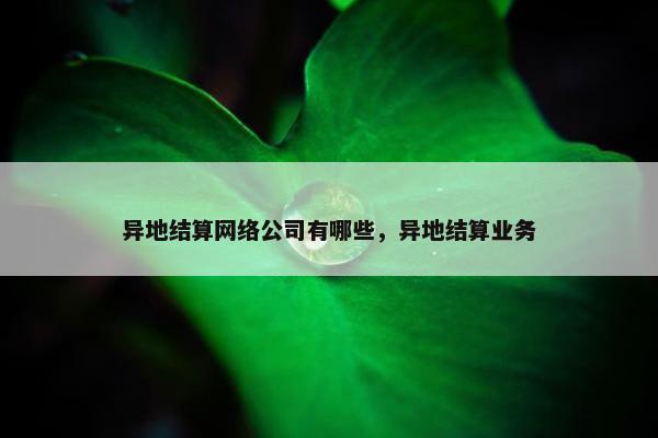 异地结算网络公司有哪些，异地结算业务