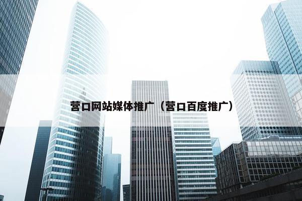 营口网站媒体推广（营口百度推广）