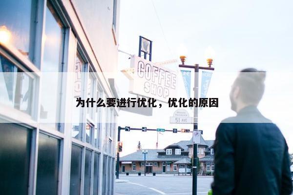为什么要进行优化，优化的原因
