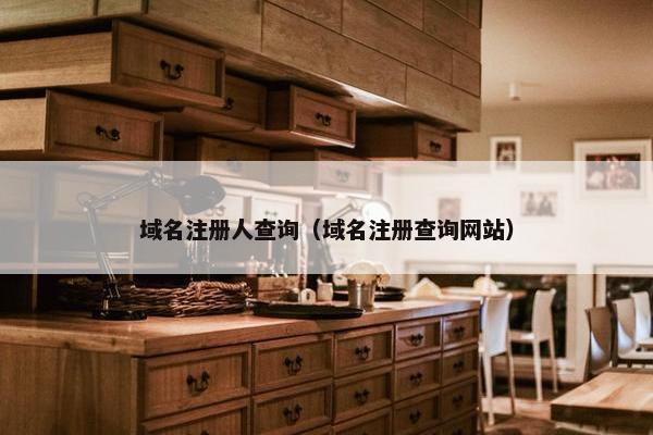 域名注册人查询（域名注册查询网站）