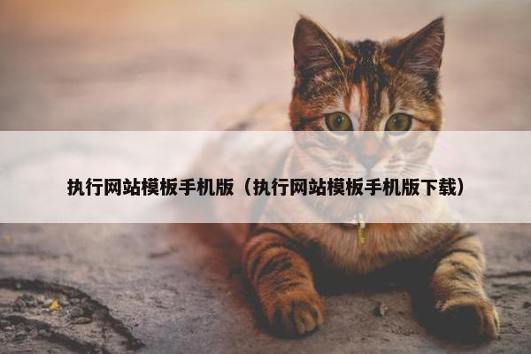 执行网站模板手机版（执行网站模板手机版下载）
