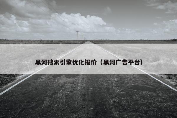 黑河搜索引擎优化报价（黑河广告平台）