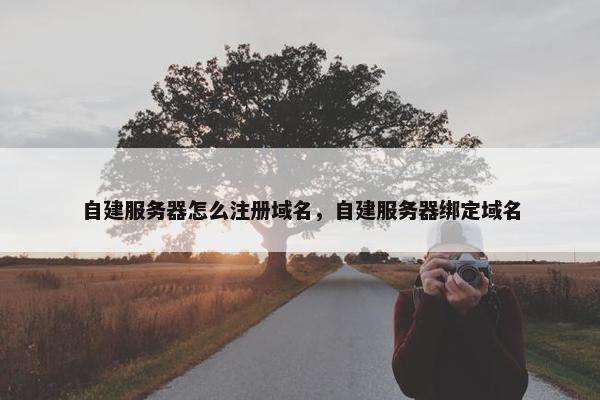 自建服务器怎么注册域名，自建服务器绑定域名