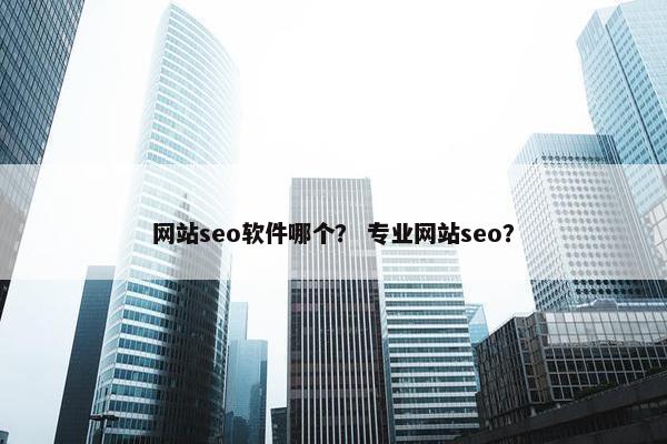 网站seo软件哪个？ 专业网站seo？