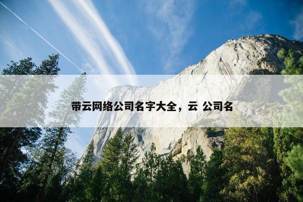 带云网络公司名字大全，云 公司名