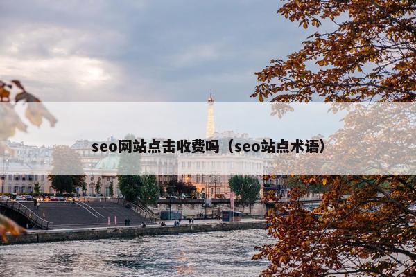 seo网站点击收费吗（seo站点术语）