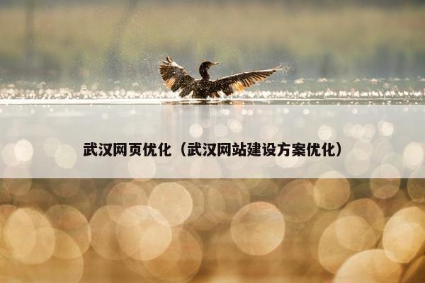 武汉网页优化（武汉网站建设方案优化）
