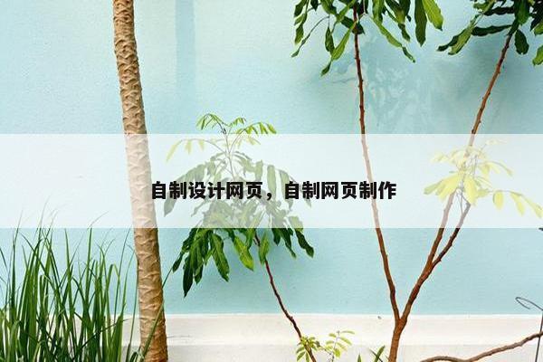 自制设计网页，自制网页制作