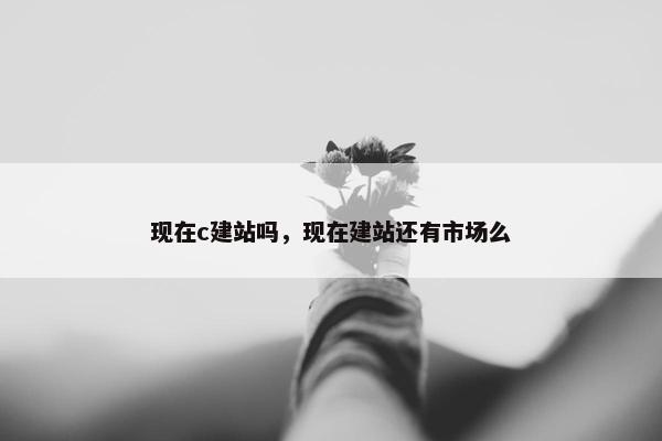 现在c建站吗，现在建站还有市场么