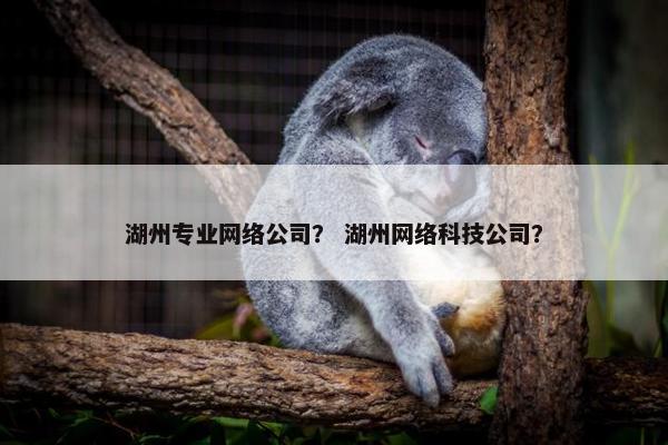 湖州专业网络公司？ 湖州网络科技公司？