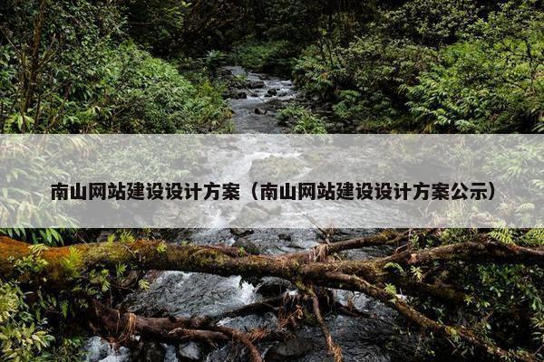 南山网站建设设计方案（南山网站建设设计方案公示）