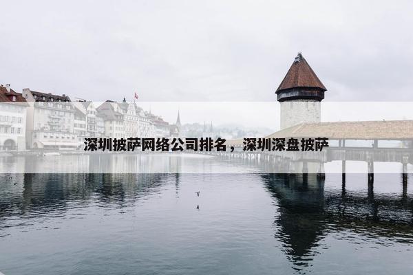 深圳披萨网络公司排名，深圳深盘披萨